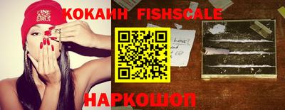 скорость Новодвинск