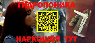 PSILOCYBIN Новозыбков