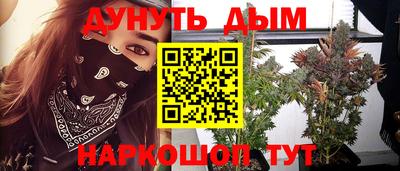 PSILOCYBIN Новозыбков