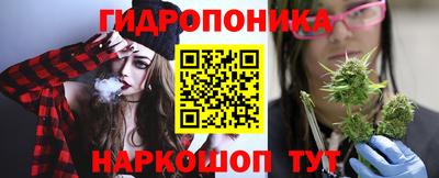 скорость Новодвинск
