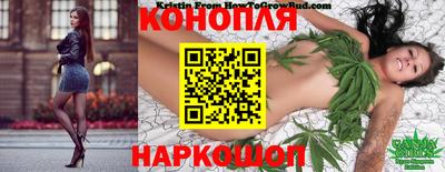 скорость Новодвинск